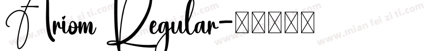 Ariom Regular字体转换